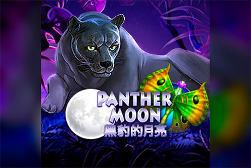 Panther Moon